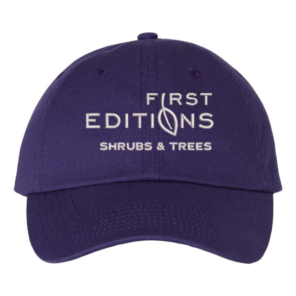 Valucap - Adult Bio-Washed Classic Dad’s Cap - Embroidered Logo Thumbnail